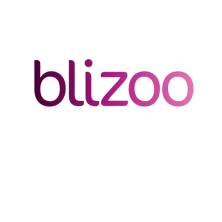 blizoo Media and Broadband