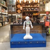 How the robot’s revolution resulted in technologies humanization